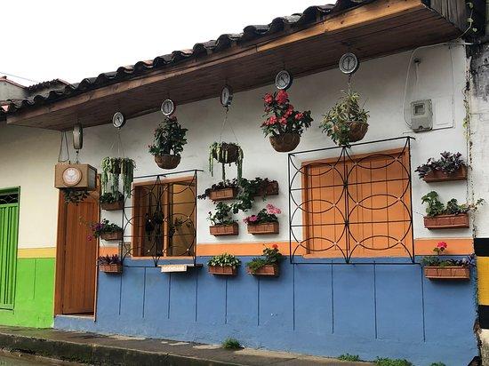 El JARDIN de Jardin