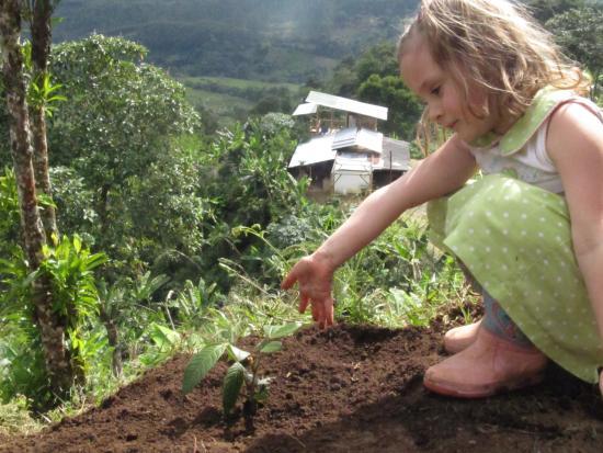 Finca Don Eduardo Coffee Tour